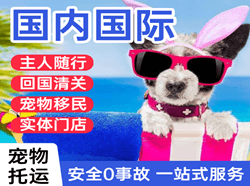 大庆航空运输国际宠物托运 【国